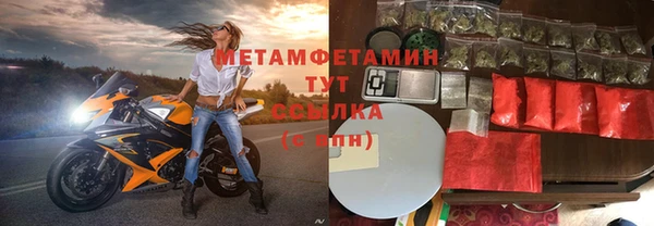 прущие грибы Лиски