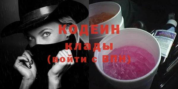 шишки Майский
