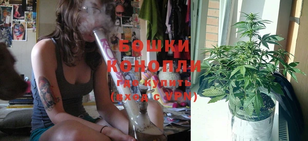 шишки Майский