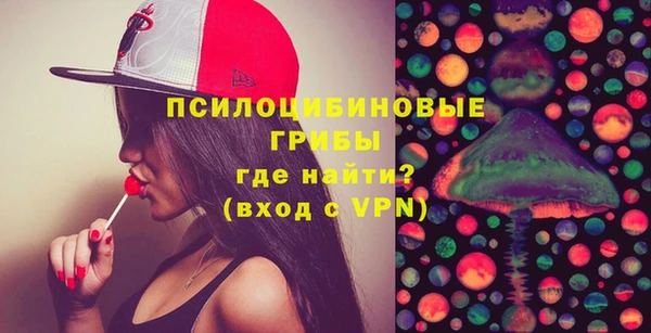 прущие грибы Лиски