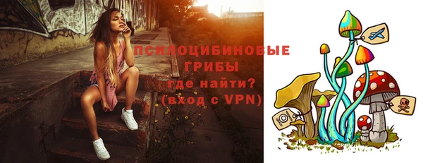 прущие грибы Лиски
