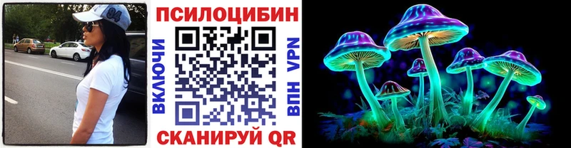 Псилоцибиновые грибы Psilocybine cubensis  Новокузнецк 