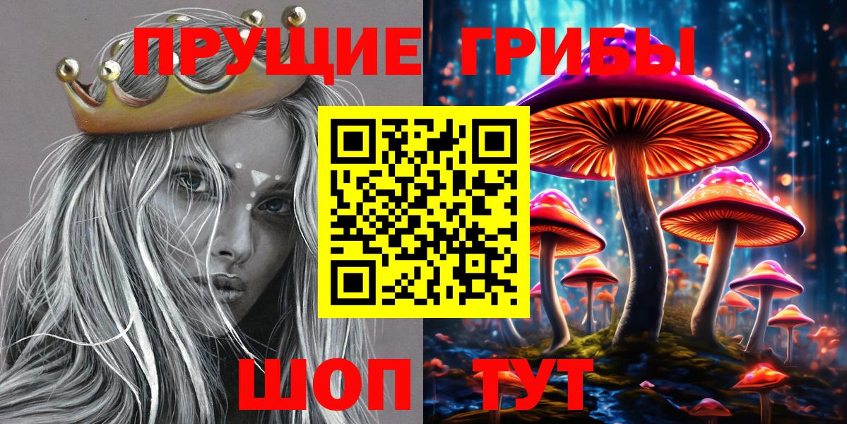 Псилоцибиновые грибы Psilocybe  Вход с VPN  Новокузнецк 