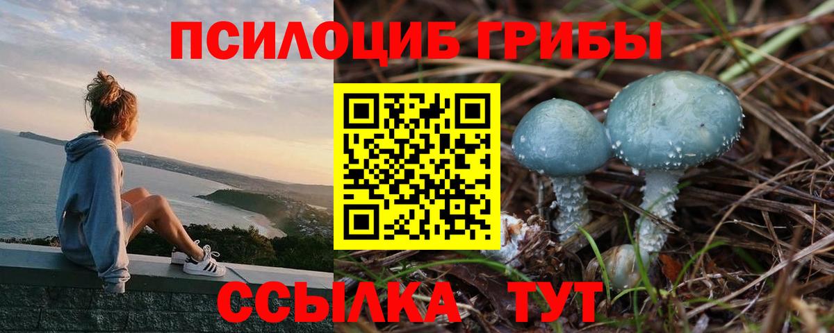 Галлюциногенные грибы Magic Shrooms Новокузнецк